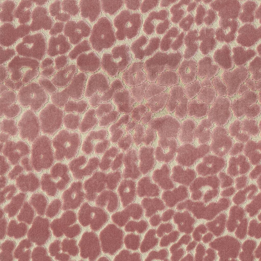 Roar - Rose Quartz - RM Coco - Fabric by the Yard