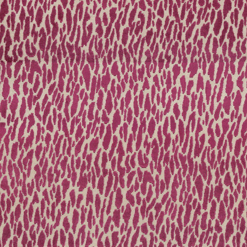 Wild Thing - Fuchsia - RM Coco - Fabric by the Yard
