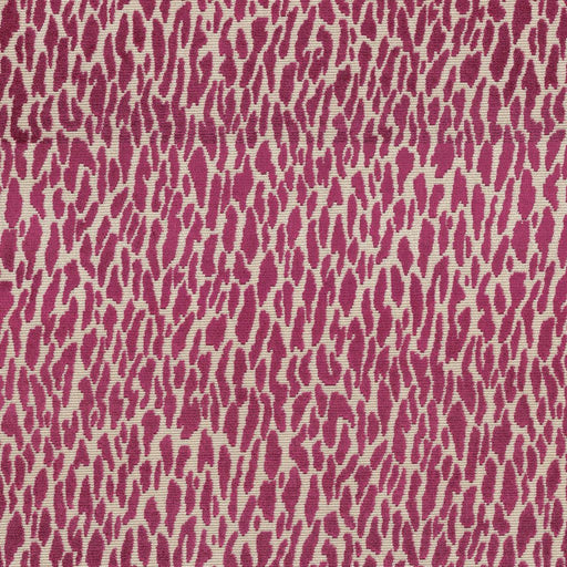 Wild Thing - Fuchsia - RM Coco - Fabric by the Yard