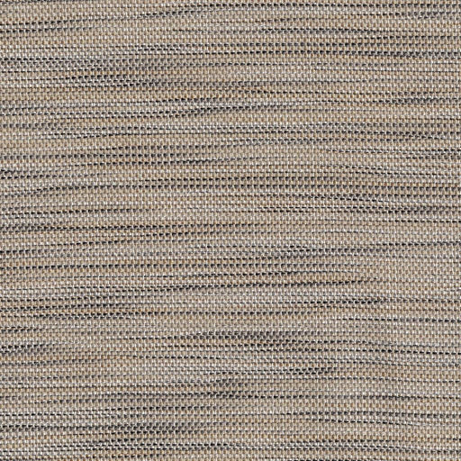 Atelier - Birch - RM Coco - Fabric by the Yard