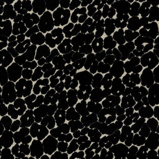 Roar - Onyx - RM Coco - Fabric by the Yard