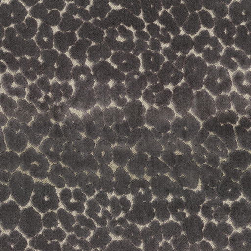 Roar - Pewter - RM Coco - Fabric by the Yard