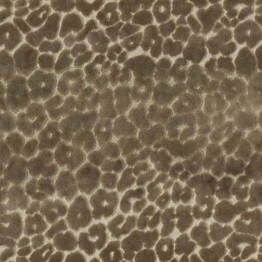 Roar - Toffee - RM Coco - Fabric by the Yard