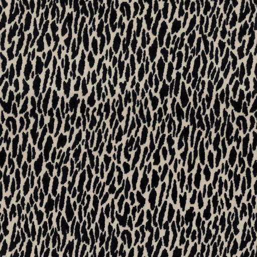 Wild Thing - Domino - RM Coco - Fabric by the Yard