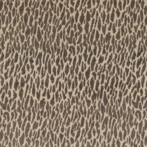 Wild Thing - Truffle - RM Coco - Fabric by the Yard