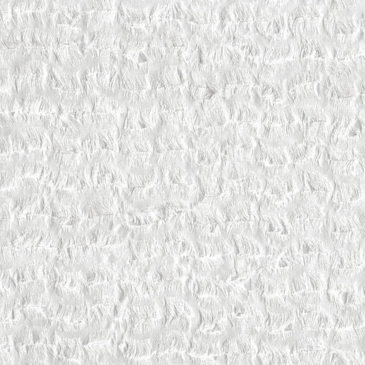Eyelash Sheer - Ivory - RM Coco - Fabric by the Yard