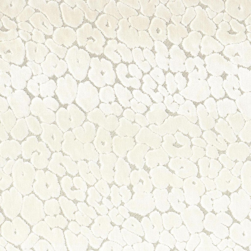 Roar - Pearl - RM Coco - Fabric by the Yard