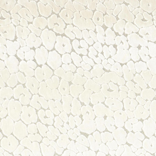 Roar - Pearl - RM Coco - Fabric by the Yard