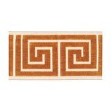 BD133 Border 7" - Gold Rush - RM Coco - Trim by the Yard