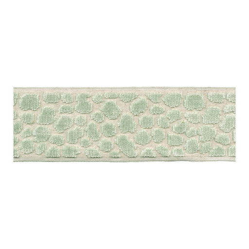 BD135 Border 3.5" - Celadon - RM Coco - Trim by the Yard
