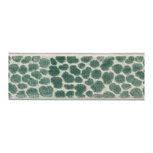 BD135 Border 3.5" - Aquamarine - RM Coco - Trim by the Yard