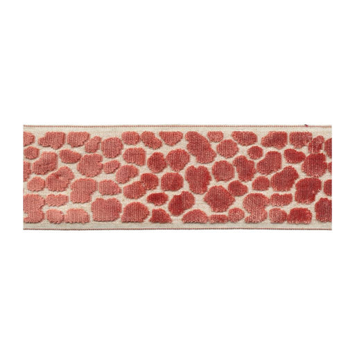 BD135 Border 3.5" - Mimosa - RM Coco - Trim by the Yard