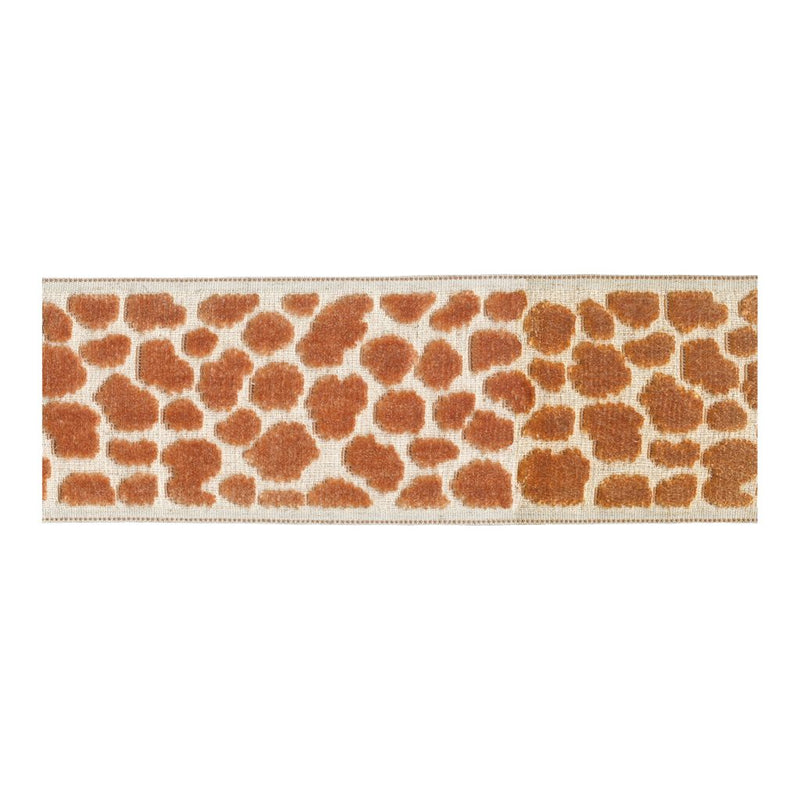 BD135 Border 3.5" - Peach Melba - RM Coco - Trim by the Yard