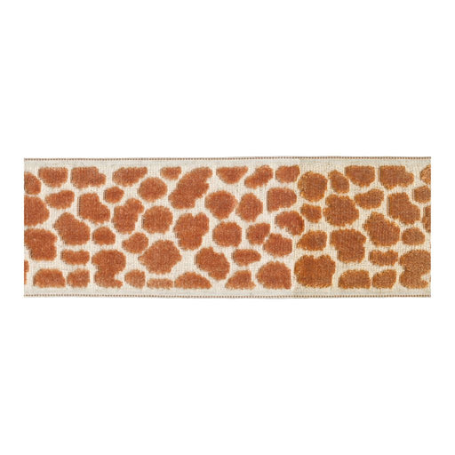 BD135 Border 3.5" - Peach Melba - RM Coco - Trim by the Yard