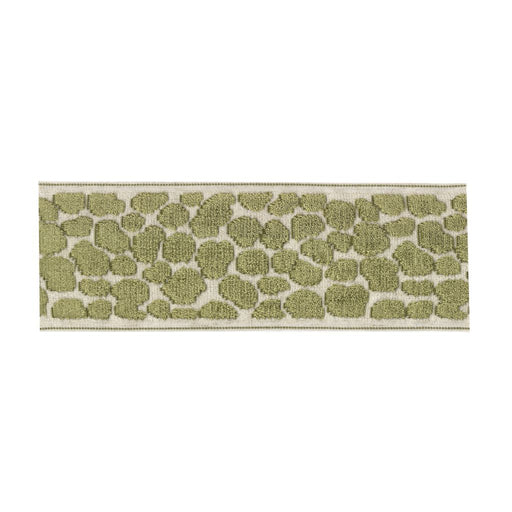 BD135 Border 3.5" - Lemon Grass - RM Coco - Trim by the Yard