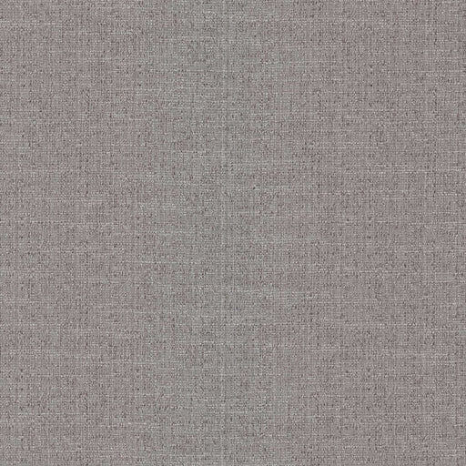Justin - Sterling - RM Coco - Fabric by the Yard