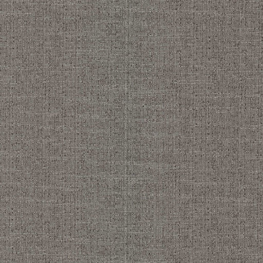 Justin - Shadow - RM Coco - Fabric by the Yard