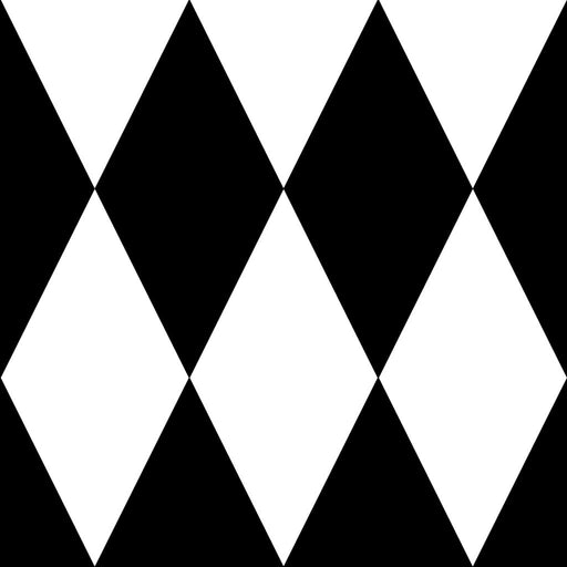 ColorWorks DL112 - B&W - RM Coco - Fabric by the Yard