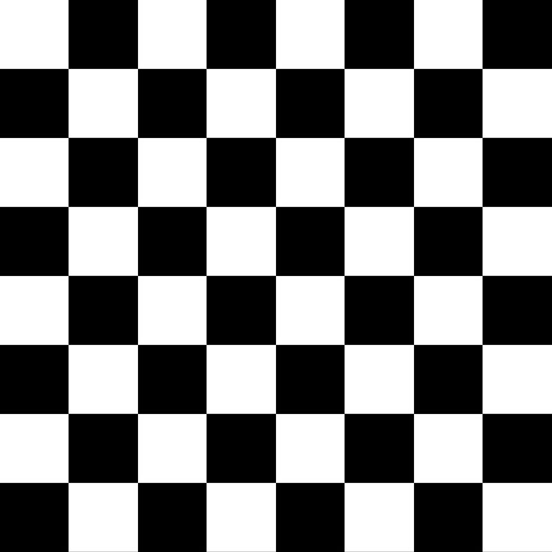 ColorWorks DL113 - B&W - RM Coco - Fabric by the Yard
