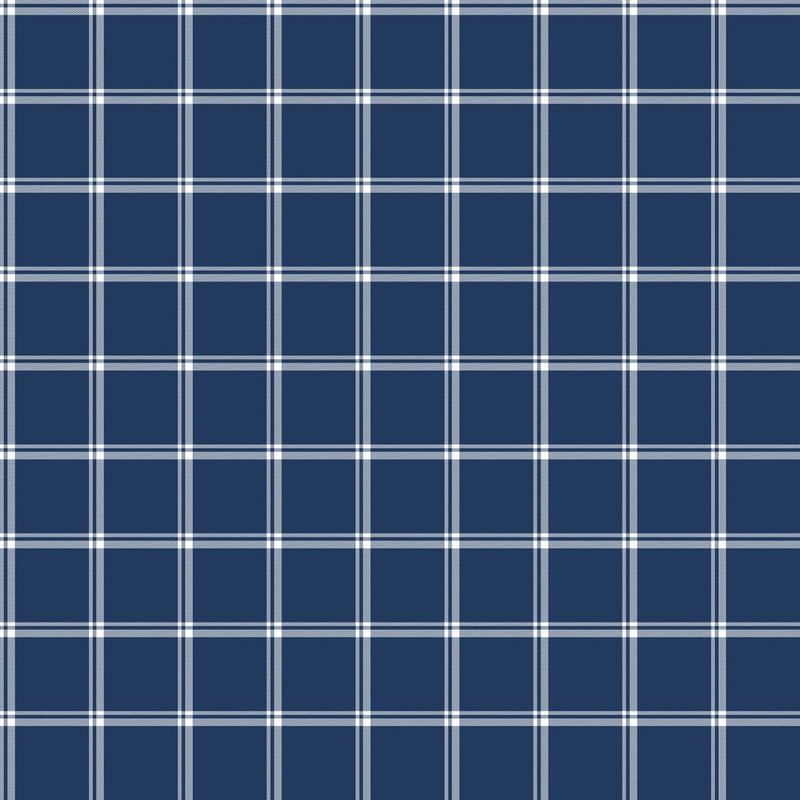 ColorWorks DL116 - Navy - RM Coco - Fabric by the Yard