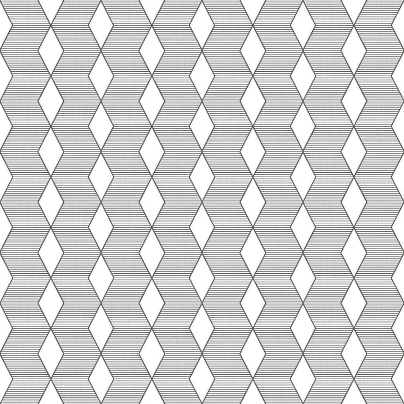 ColorWorks DL118 - B&W - RM Coco - Fabric by the Yard