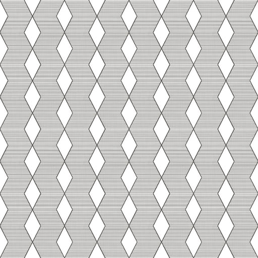 ColorWorks DL118 - B&W - RM Coco - Fabric by the Yard