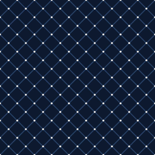 ColorWorks DL126 - Navy - RM Coco - Fabric by the Yard
