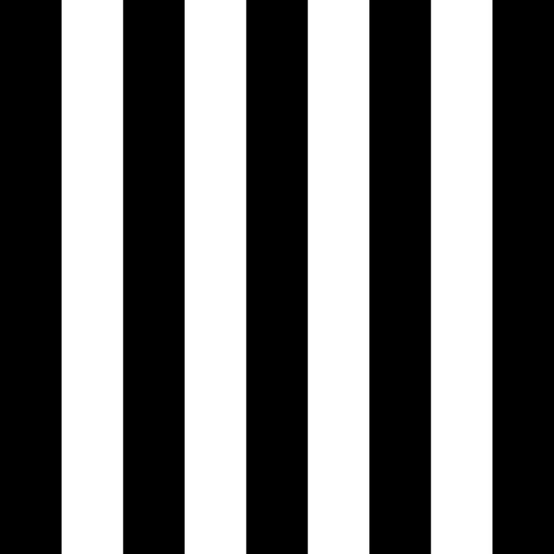 ColorWorks DL145 - B&W - RM Coco - Fabric by the Yard