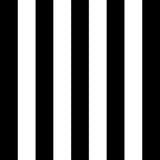 ColorWorks DL145 - B&W - RM Coco - Fabric by the Yard