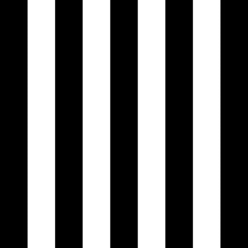 ColorWorks DL145 - B&W - RM Coco - Fabric by the Yard