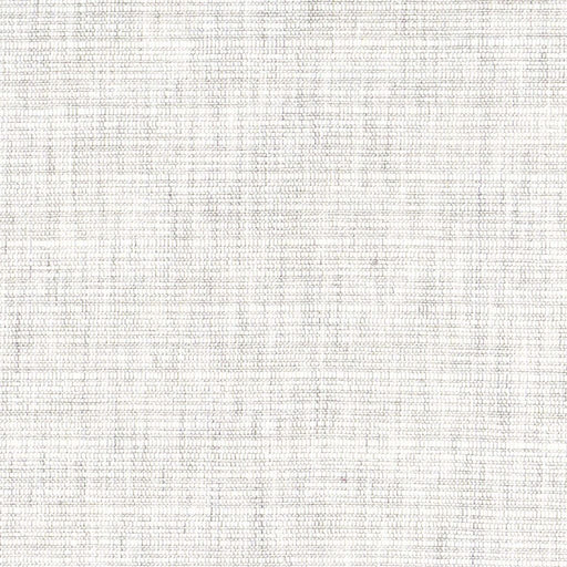 Elusive Cotton Tussah - Travertine - RM Coco - Fabric by the Yard