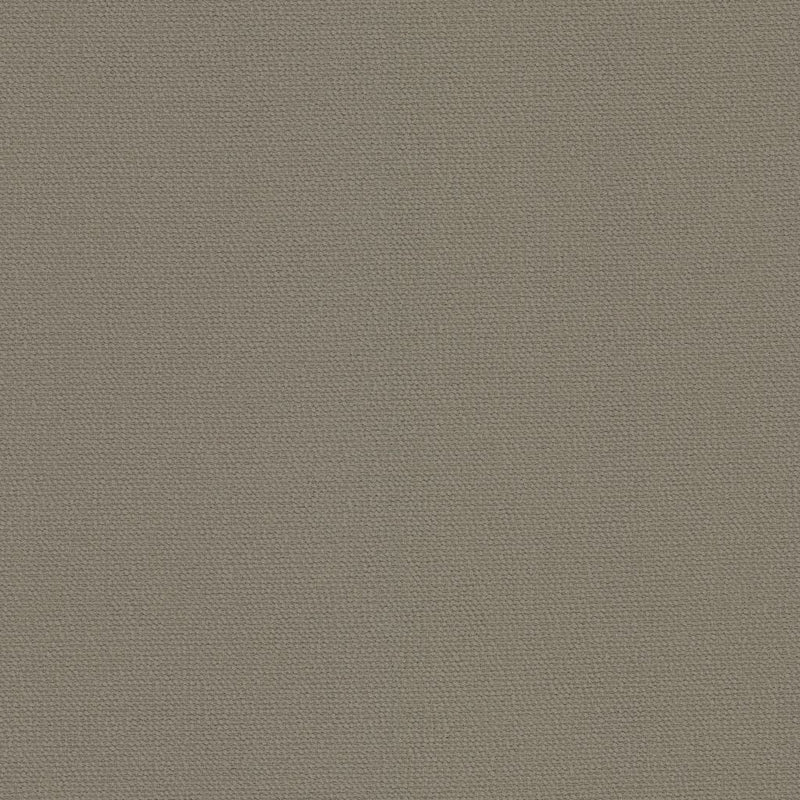 Sardinia - Thatch - RM Coco - Fabric by the Yard