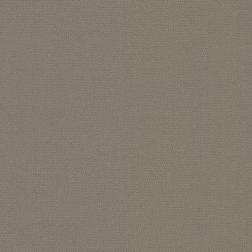 Sardinia - Thatch - RM Coco - Fabric by the Yard