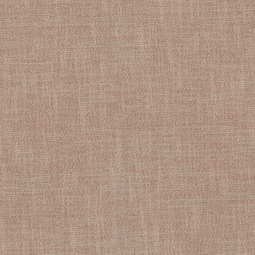 Capri - Conch - RM Coco - Fabric by the Yard