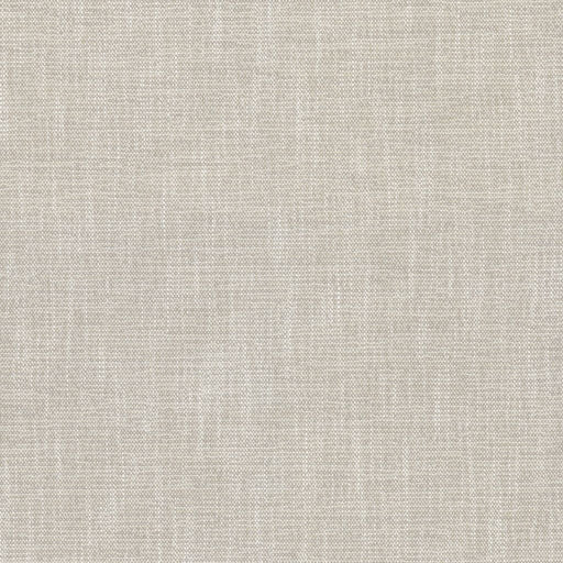 Capri - Puka Shell - RM Coco - Fabric by the Yard