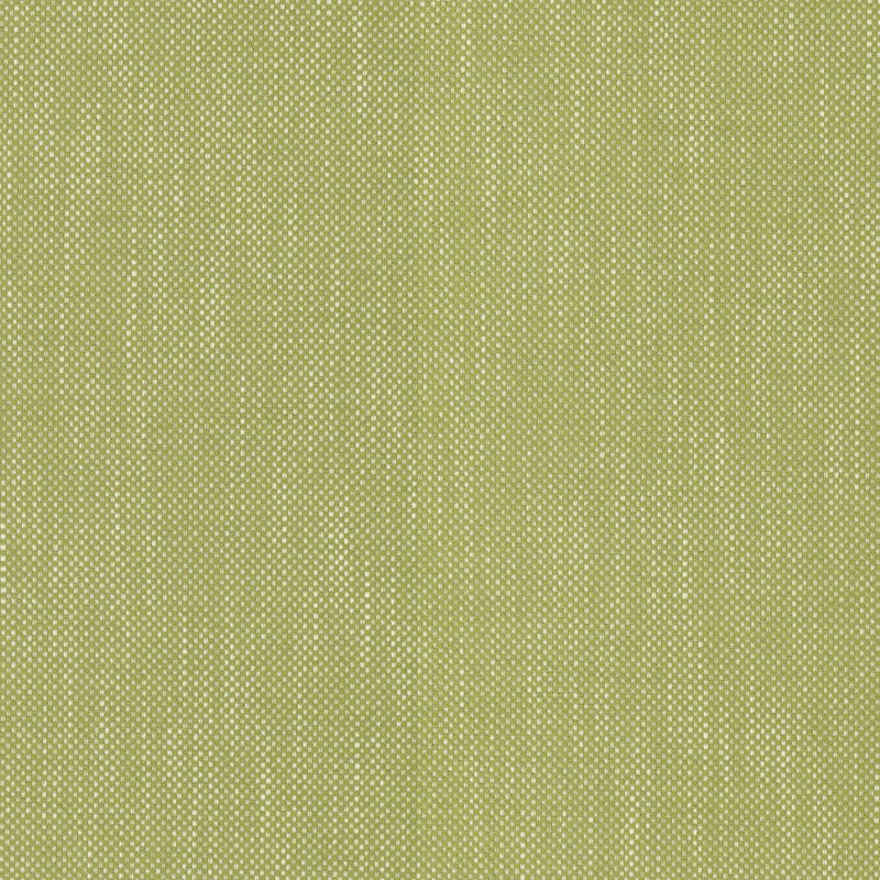 Dominica - Kiwi - RM Coco - Fabric by the Yard