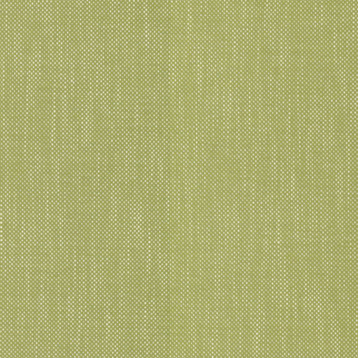 Dominica - Kiwi - RM Coco - Fabric by the Yard