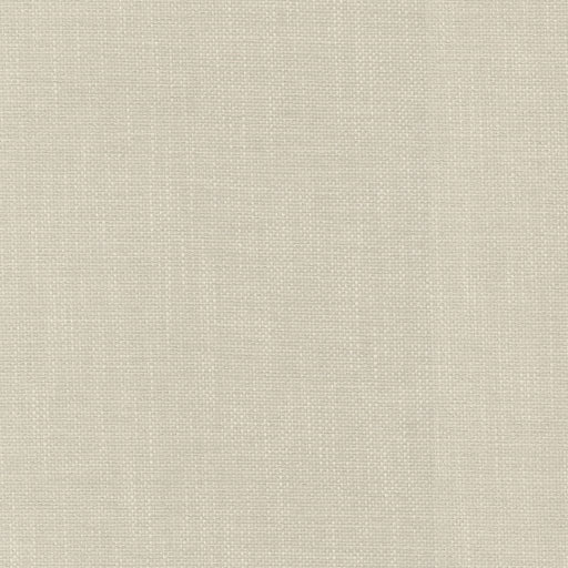 Dominica - Sea Salt - RM Coco - Fabric by the Yard