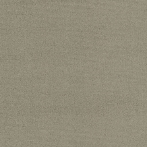 Soleil Performance Velvet - Driftwood - RM Coco - Fabric by the Yard