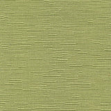 Haven - Kiwi - RM Coco - Fabric by the Yard
