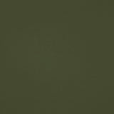 Chaparral Performance FR Faux-Leather - Basil - RM Coco - Fabric by the Yard