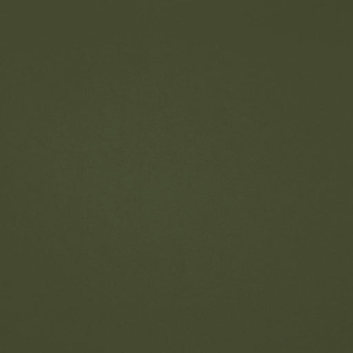 Chaparral Performance FR Faux-Leather - Basil - RM Coco - Fabric by the Yard