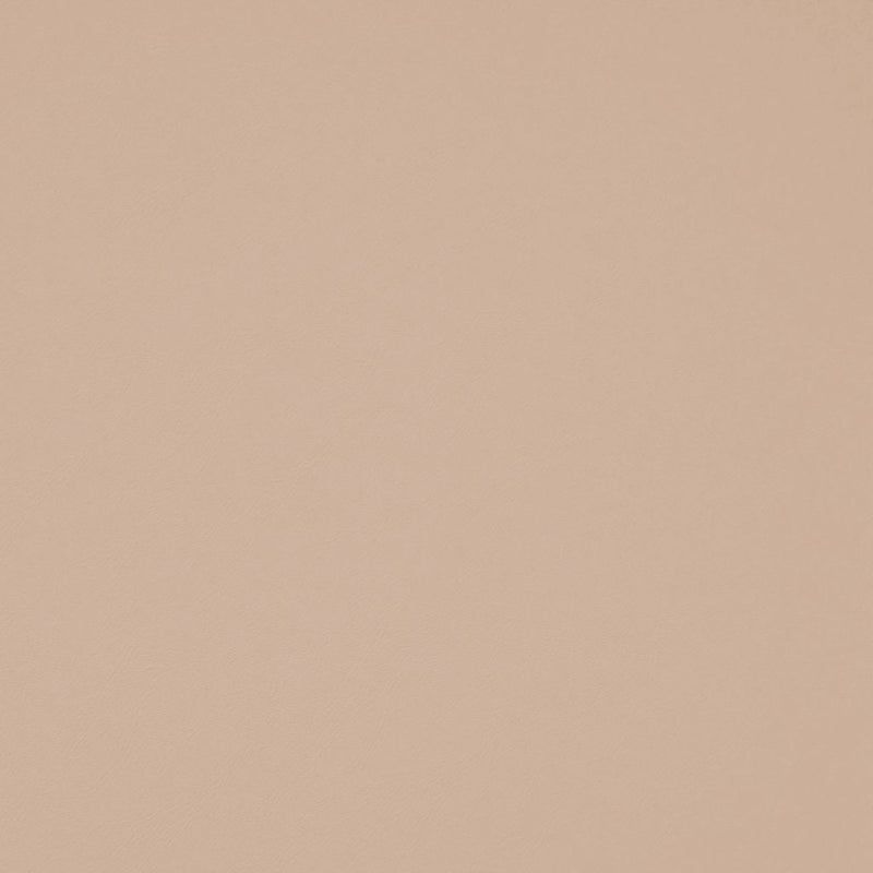 Chaparral Performance FR Faux-Leather - Vapor - RM Coco - Fabric by the Yard