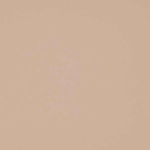 Chaparral Performance FR Faux-Leather - Vapor - RM Coco - Fabric by the Yard
