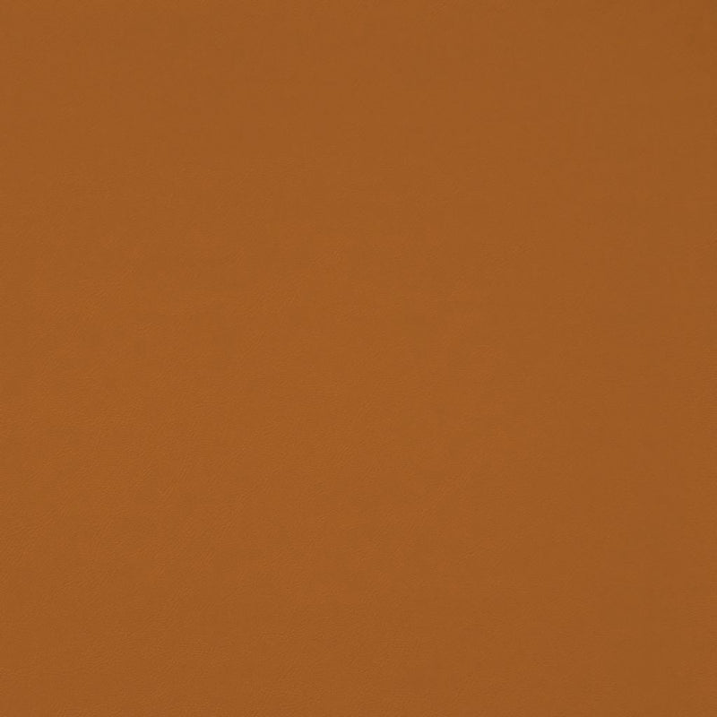 Chaparral Performance FR Faux-Leather - Butterscotch - RM Coco - Fabric by the Yard