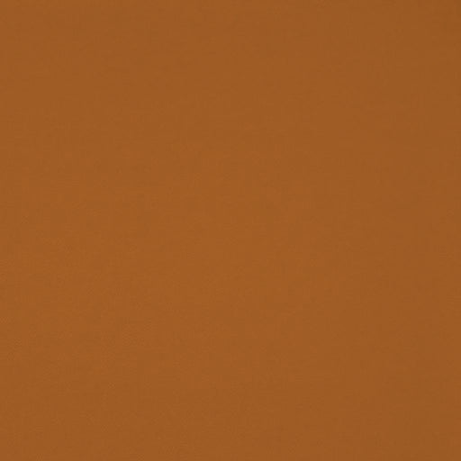 Chaparral Performance FR Faux-Leather - Butterscotch - RM Coco - Fabric by the Yard