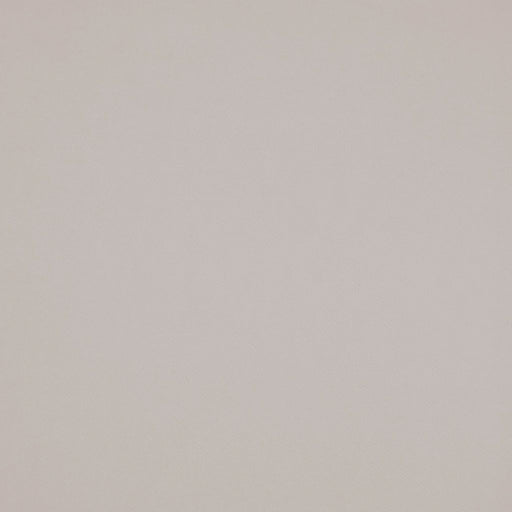 Chaparral Performance FR Faux-Leather - Fog - RM Coco - Fabric by the Yard