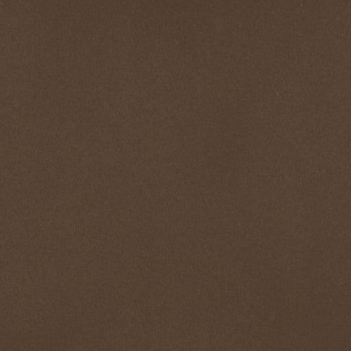 Sundown Wide-Width FR Dimmer - Ganache - RM Coco - Fabric by the Yard