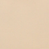 Sundown Wide-Width FR Dimmer - Froth - RM Coco - Fabric by the Yard