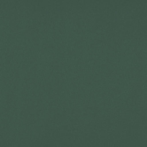Sundown Wide-Width FR Dimmer - Evergreen - RM Coco - Fabric by the Yard